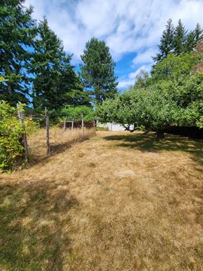 Victoria house for rent - A grassy field with trees and a fence in the background.