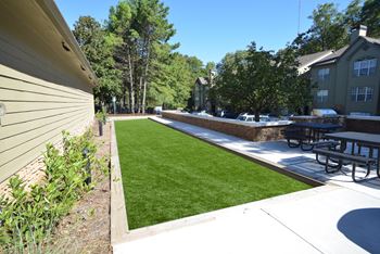 Cornhole court