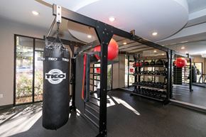 Atlanta apartment for rent - a boxing cage in a home gym with a punching bag