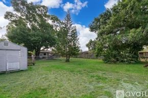 Palm Bay house for rent - A backyard with a shed, trees, and a fence.