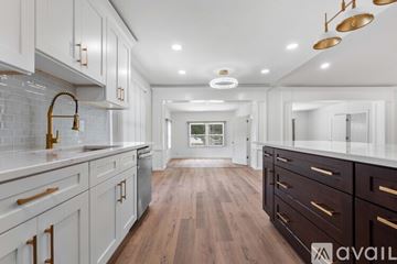 Dunedin house for rent - A modern kitchen with white cabinets and dark wood floors.
