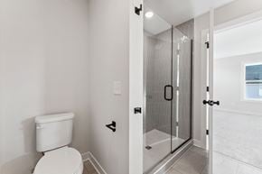 Woodbury house for rent - A white toilet in a bathroom with a glass shower door.