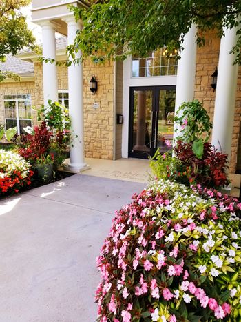 Professionally landscaped grounds