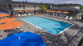 Davie apartment for rent - A pool surrounded by orange and blue umbrellas.