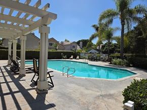Inglewood house for rent - A pool surrounded by a white pergola and palm trees.