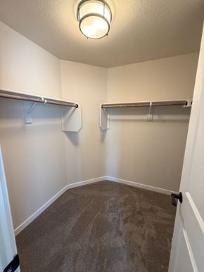 Colorado Springs house for rent - A room with two white walls and a carpeted floor.