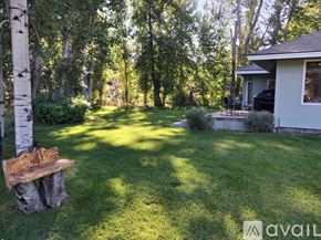 Hailey house for rent - A backyard with a wooden bench and a house.