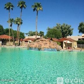 Surprise house for rent - A pool surrounded by palm trees and a rocky outcrop.