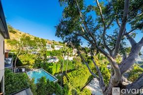 Los Angeles house for rent - A tree in the foreground with a pool and houses in the background.