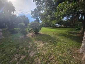 Pensacola house for rent - A sunny day in a lush green park with trees and grass.
