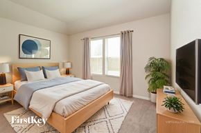 Conroe house for rent - A bedroom with a large bed, a television, and a rug.