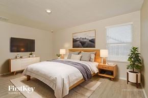 New Braunfels house for rent - A bedroom with a bed, nightstands, and a plant.