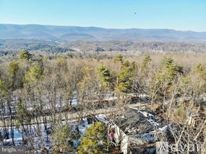 Mount Jackson apartment for rent - A bird flies over a forest with a mountain range in the distance.
