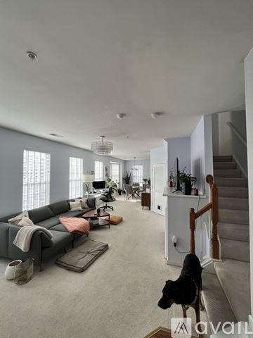 Alexandria condo for rent - A dog is standing on a carpet in a spacious living room.
