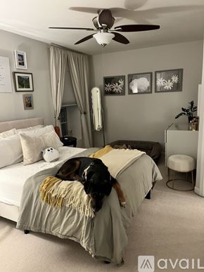 Alexandria condo for rent - A dog is sleeping on a bed in a bedroom.