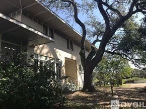 Tampa house for rent - A tree in front of a white building with a bush in the foreground.