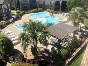 Sherman apartment for rent - A pool surrounded by palm trees and a patio area.