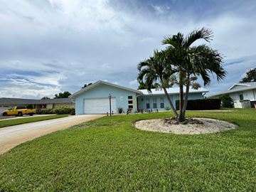 Bradenton house for rent - A house with a palm tree in front.