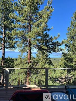 Incline Village condo for rent - A view of a forest with a mountain in the distance.