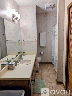 Dillard house for rent - A bathroom with a sink, mirror, toilet, and a shower curtain.