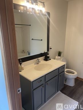 River Falls townhouse for rent - A bathroom with a sink, toilet, and mirror.
