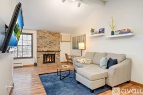 Hopkins condo for rent - A living room with a couch, a fireplace, and a television.