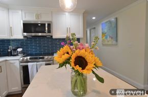 Bristol house for rent - A vase with sunflowers and other flowers sits on a kitchen counter.