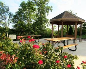 Greeneville apartment for rent - Picnic area