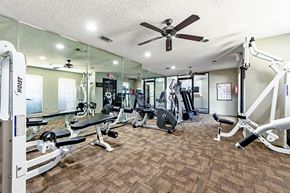 Irving apartment for rent - A gym with a variety of equipment including a treadmill, weights, and a bench press.