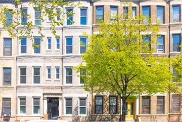 Brooklyn apartment for rent - A tree with green leaves is in front of a building with a yellow door.