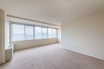 Expensive windows 