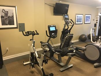 Fully equipped fitness center