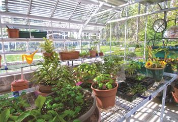 Indoor garden