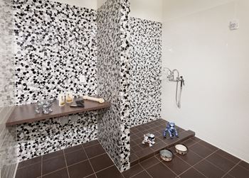 On-site pet spa 
