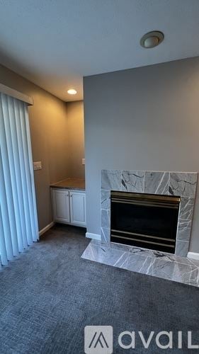 Louisville apartment for rent - A room with a fireplace and a window with curtains.