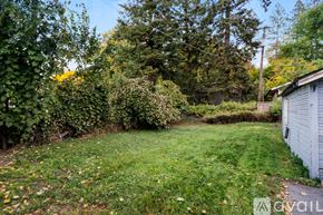 Spokane townhouse for rent - A backyard with a lawn and trees.