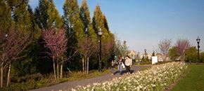 Jersey City apartment for rent - a group of people walking down a path in a park