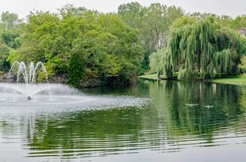 Lake with fountain view
