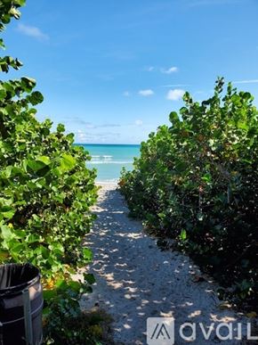Jupiter condo for rent - A beach scene with a path leading to the ocean.