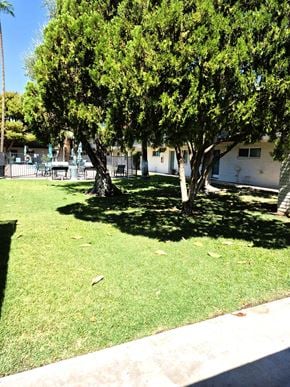 Phoenix apartment for rent - A tree in a grassy area with a house in the background.
