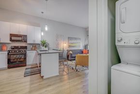 Sandy apartment for rent - A modern kitchen with white appliances and wooden floors.