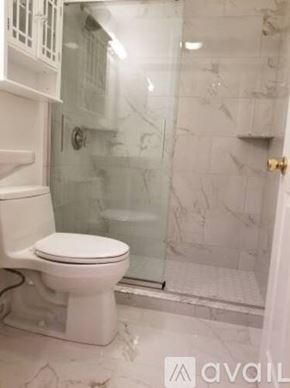 Boston apartment for rent - A white toilet in a bathroom with marble tiles.