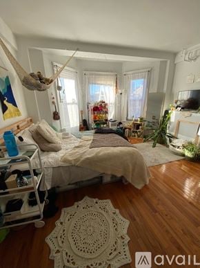Boston apartment for rent - A bedroom with a bed, a hammock, and a rug.
