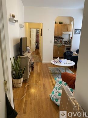 Boston apartment for rent - A living room with a couch, a television, and a plant.