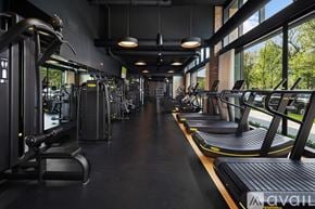 Chicago house for rent - A gym with treadmills and elliptical machines.