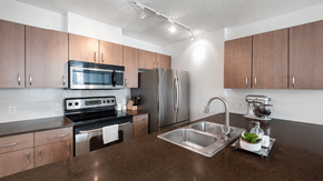 Vancouver apartment for rent - A kitchen with brown cabinets and a stainless steel sink.