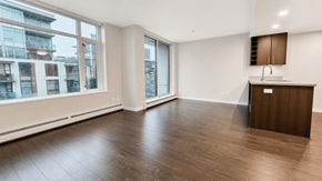 Vancouver apartment for rent - XL078: 1201-138 W.1st Ave