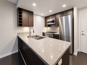 Vancouver apartment for rent - XL078: 1201-138 W.1st Ave