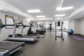 Vancouver apartment for rent - A gym with treadmills, exercise balls, and other equipment.