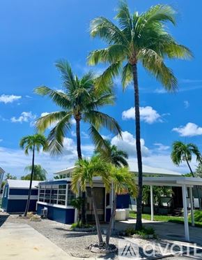 Key West apartment for rent - Three palm trees in front of a blue and white building.